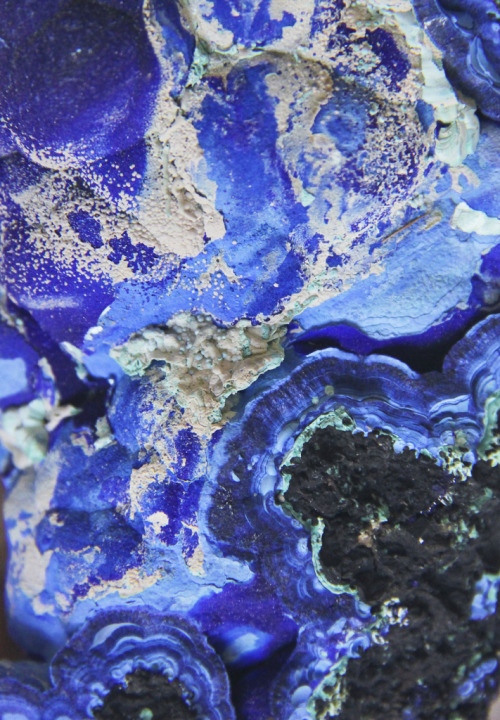 themineralogist:  Azurite (by Kotomicreations) 