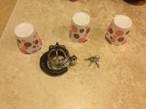 nethnggoes:  We are down to three keys after our last game called, “cut the key.” I did luckily win last week. Now the new game is this. One of these locks no longer has a key that unlocks it due to our last game. I am to scramble these cups, and