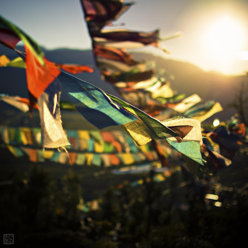 socialfoto:  [untitled] by SirFrenchie 