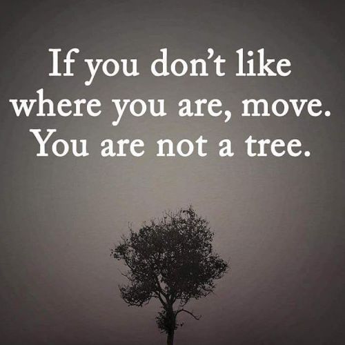 If you don’t like where you are in life Keep It Moving, you are not a tree! #motivation #inspi