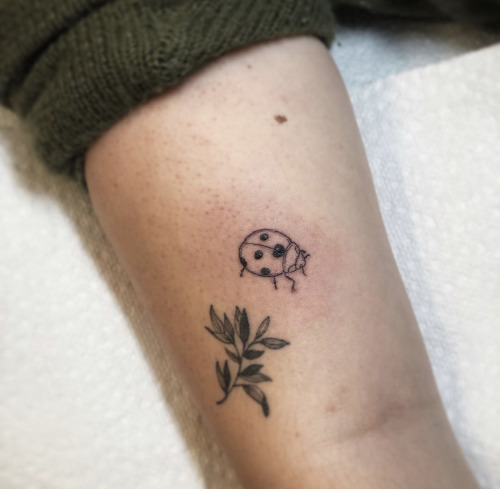 ladybug tattoo