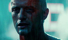lizziesolsen:  Quite an experience to live in fear, isn’t it? That’s what it is to be a slave. Blade Runner (1982) dir. Ridley Scott    