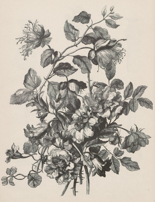 clawmarks:L’ art pour tous: encyclopédie de l'art industriel et décoratif - 1862