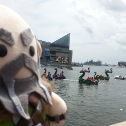 TOO MANY DRAGONS  Still in Baltimore! This