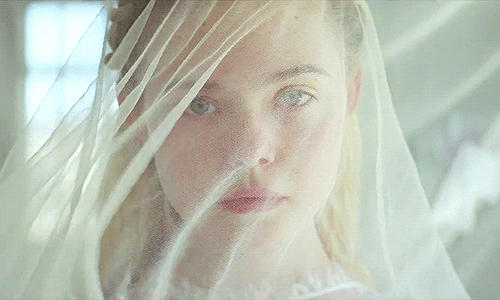 lidy1:   Elle Fanning 