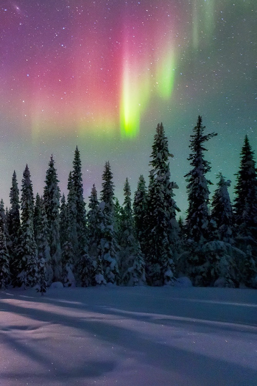 heaven-ly-mind:  Bright Side of the Moon