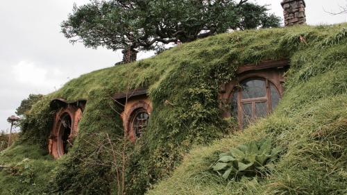 seansavestheworld:  becauselotr:  I don’t believe there is a single person in the world who wouldn’t live in Hobbiton if given the opportunity   I’d take that opportunity in a second 🙋🏻‍♂️