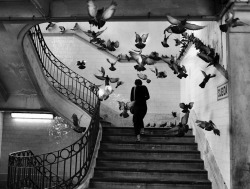 loverofbeauty:  Henri Cartier-Bresson:  