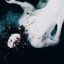 drowned-in-lochness