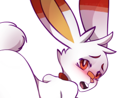 Scorbunny lewd is up on my social media linked