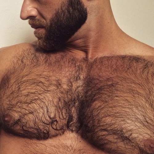 okiesmen:   Okiesmen      ARCHIVE     FOLLOW     ASK