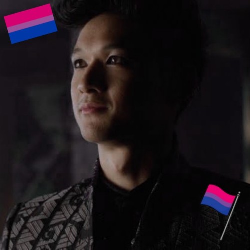 Bisexual Flag Icons