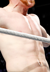 punktanichassailed:  I Appreciate Your Midsection → Sheamus 