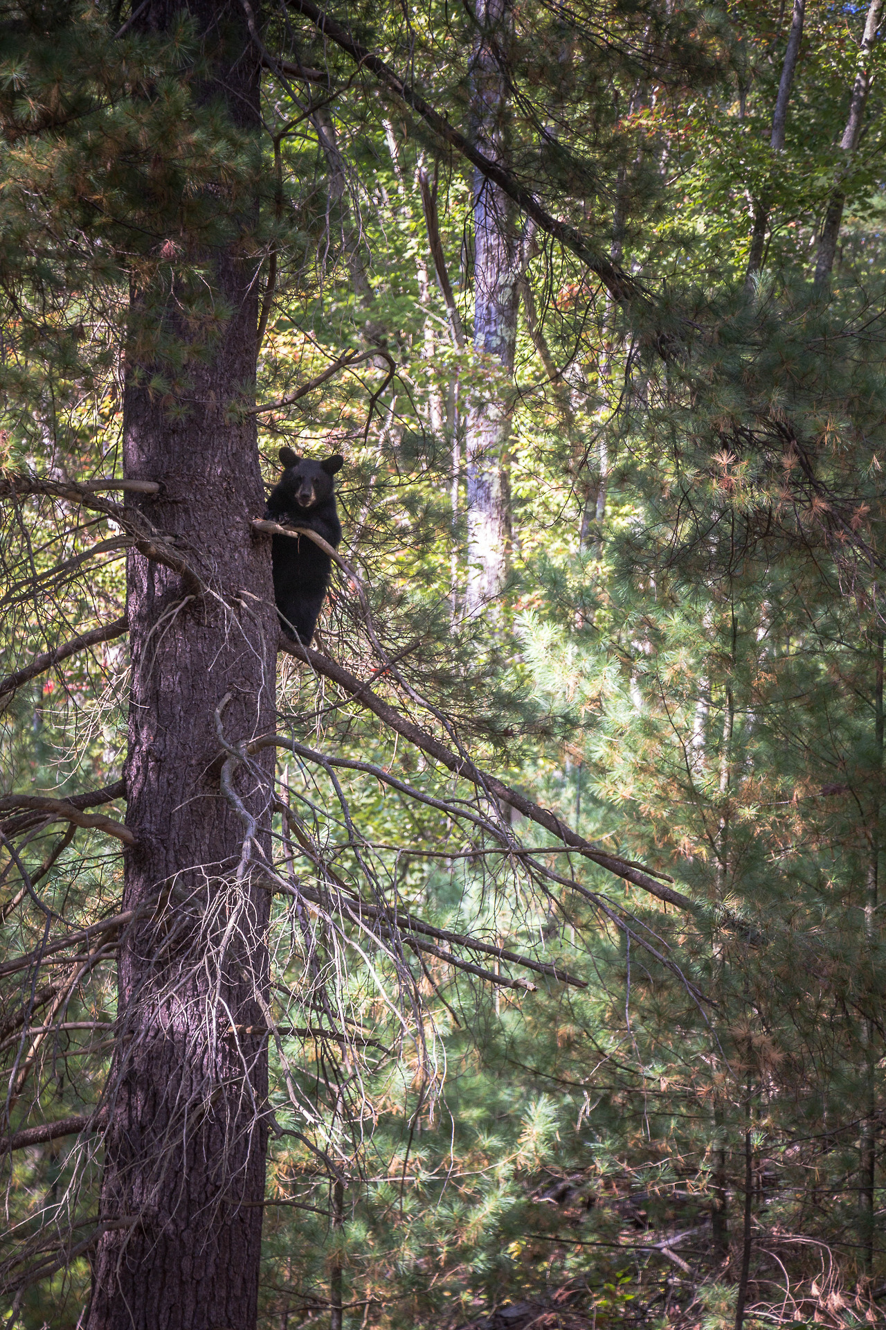 autumncamera:Got to cross something off my photography bucket list.
