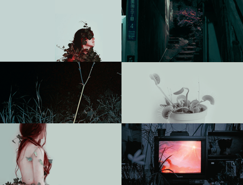 dickgraysonn:  gotham city sirens 
