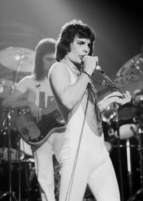 lucyyboynton:A Freddie Mercury Appreciation Post