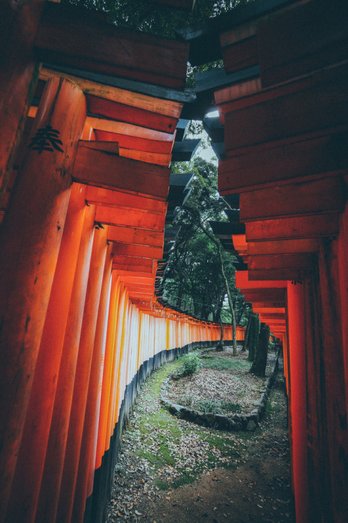 iesuuyr:   Fushimi 伏見稻荷｜京都 Kyoto by 里卡豆 Ricardo