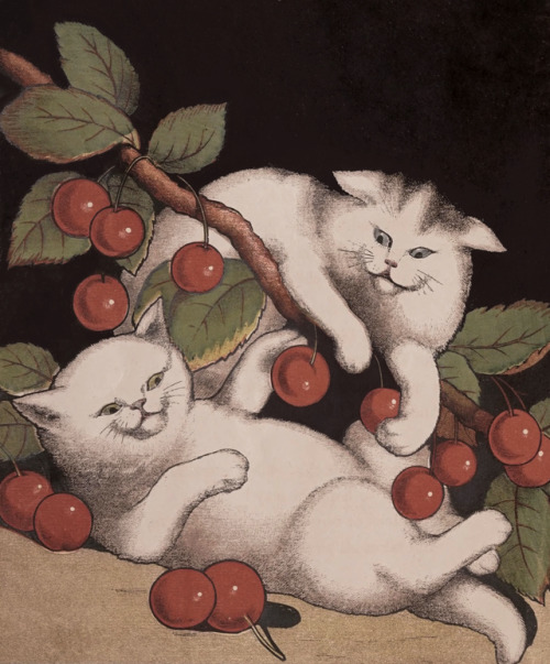 clawmarks: Tit, Tiny, and Tittens; the three white kittens - 1865 - via Internet Archive