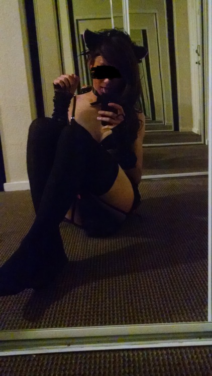 jannatrap:  meowww