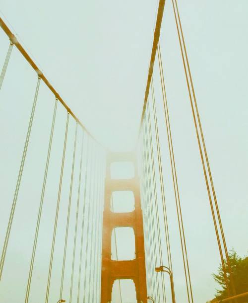 #tbt #sanfrancisco (at Golden Gate Bridge, Vista Point)