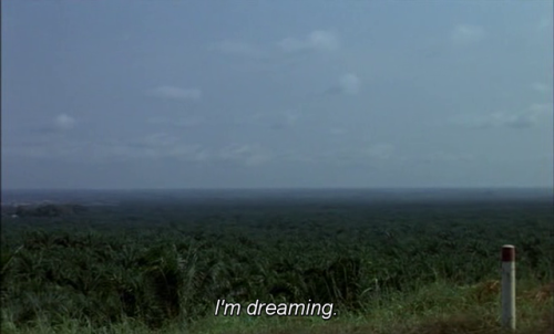 365filmsbyauroranocte: Chocolat (Claire Denis, 1988)