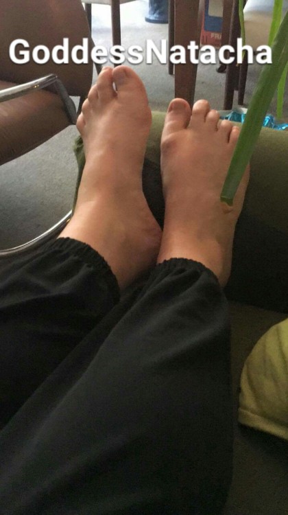 goddessnatacha: Worshiping my feet is your new dream.