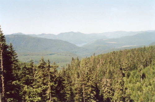 Bugalú