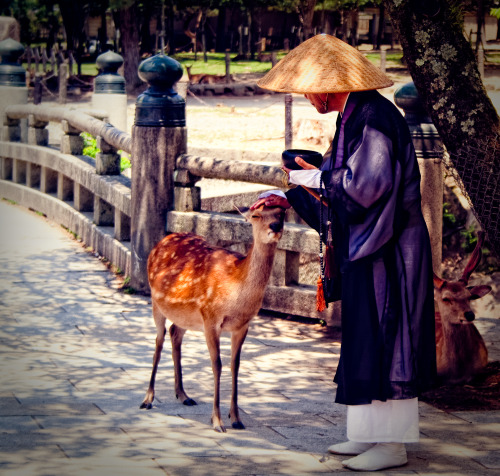 Nara, Japan