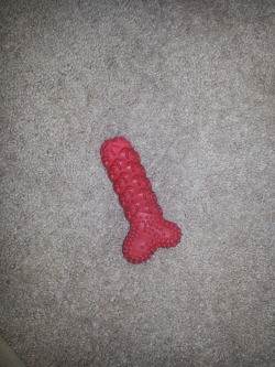rnidnightsnack:  so my dog chewed off the end of her rubber bone…