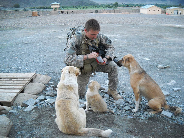 i-want-spankings:  ilovephilscock:  awesome-picz:  Soldiers And Pets Who Became Best