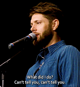 rainbow-motors:Five police cars pulled me over, handcuffed me… [drily] that was fun.SPNDallas 2019 [