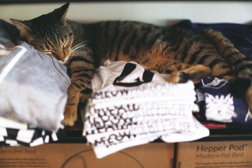 Sleeping on the t-shirts. 