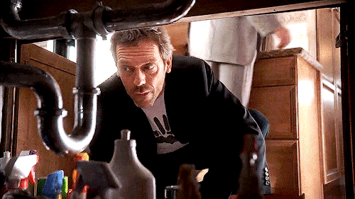 Bound (1996) // House Md, 4x01