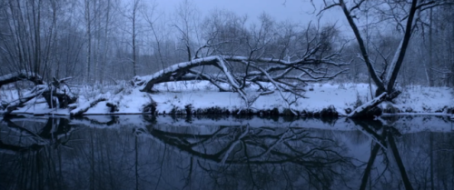 visualmooddiary: Loveless dir. Andrej Zvyagintsev, 2017