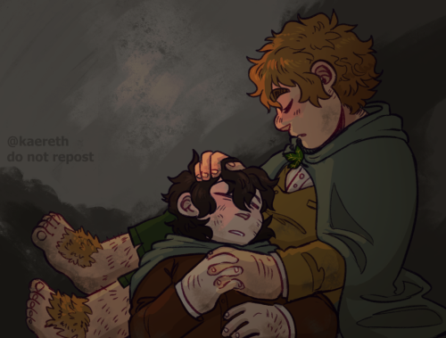 Got a kofi to draw some stuff for fun/something I wanted to draw and so here’s some Sam/Frodo 