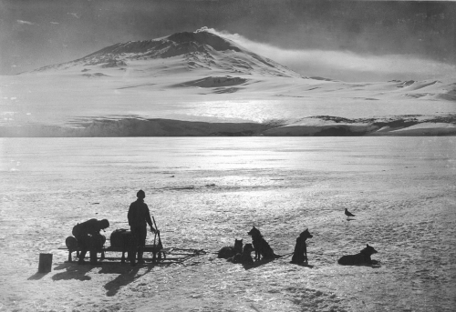 dame-de-pique:Herbert Ponting - A dog-sledge team with Erebus in the background, Sunday 15 January 1