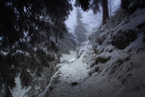 ominousplaces:Week of January 19th: Into the Woods.Hiking in the Black Forest.By Artrista.