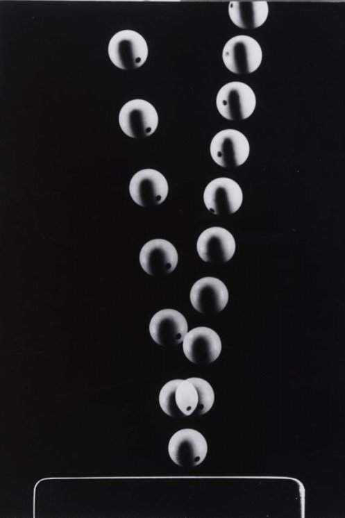 Berenice Abbott, Strobe of a Bouncing Ball, from The Science Pictures, 1958–1961 (printed 1982)moreS