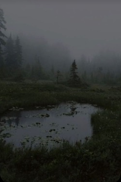 rainingnight: