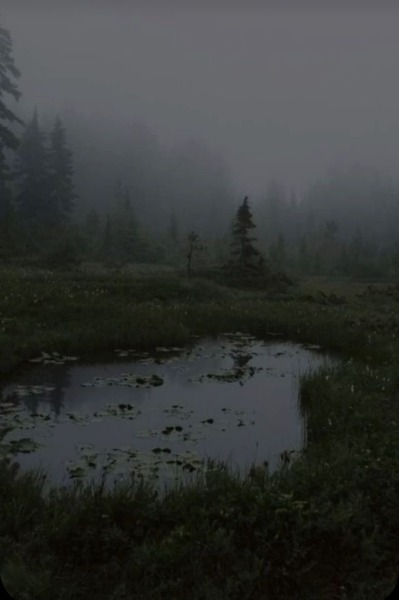 rainingnight: