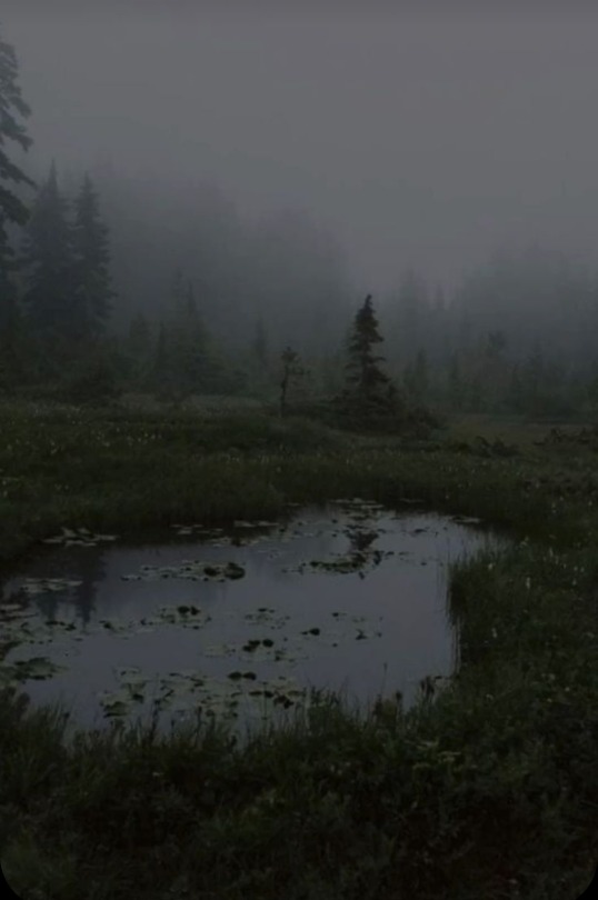 rainingnight: