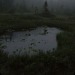 rainingnight: