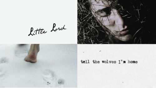 teddylulpin:ASOIAF AESTHETICS: The Stark Children‘The North Remembers.’