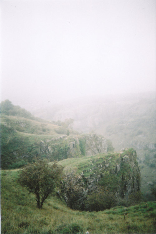 {Emilie}