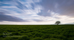 socialfoto:  Alone by Efemir #SocialFoto 