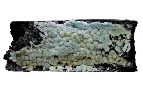 bijoux-et-mineraux:Wavellite - Laharran Quarry, Minane Bridge, County Cork, Ireland