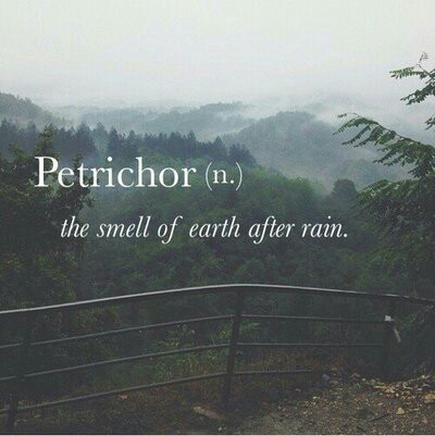 hipster tumblr blog