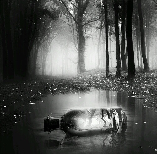 Beautiful Disaster 