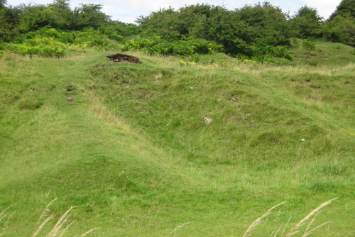 Roman lead mines at Charterhouse (Somerset, England).  Second photofrom the east, third photo from t