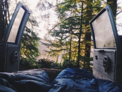 spiritualjournies:  calebbabcock:  Bed views the last 2 mornings.  i don’t think i’ve ever been so jealous of anything in my life. 